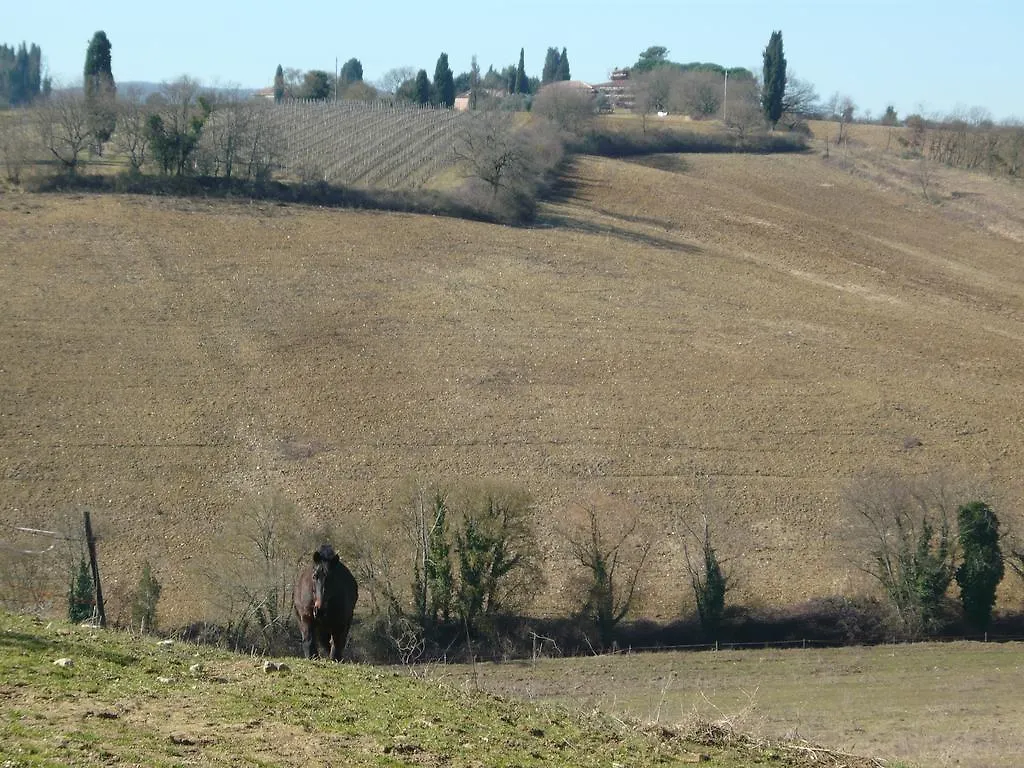 Agroturismo Casalgallo Quercegrossa Italia